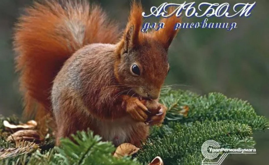 Альбом для рисования «Домашние животные» ​